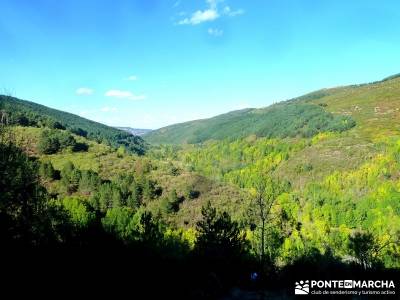 Yacimientos Atapuerca - Sierra de la Demanda; senderismo fácil; viaje octubre